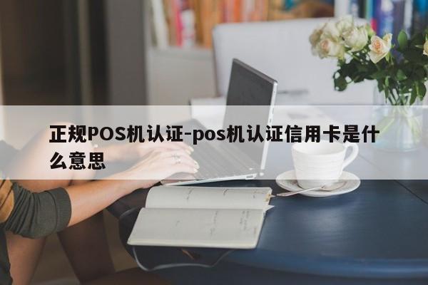 昭阳正规POS机认证-pos机认证信用卡是什么意思