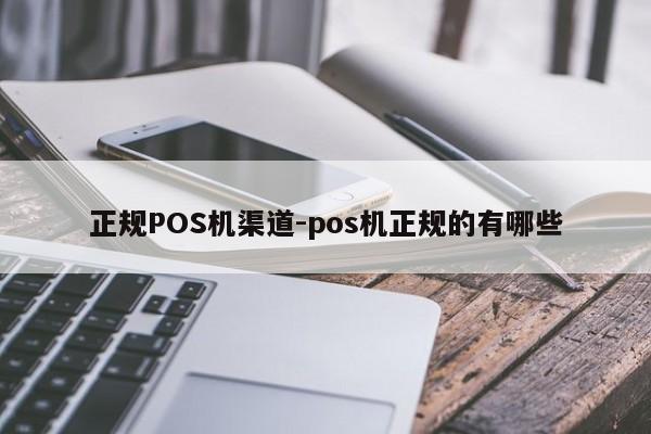 昭阳正规POS机渠道-pos机正规的有哪些